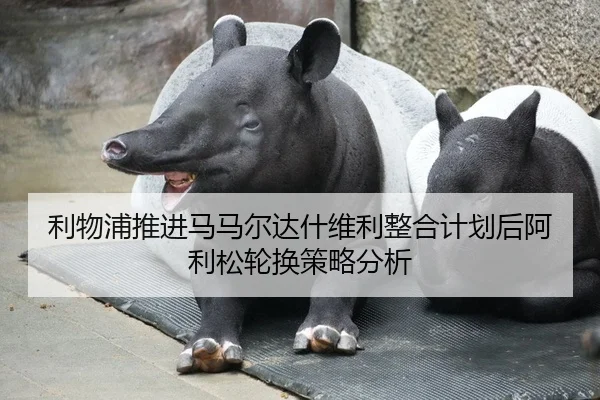 li-wu-pu-tui-jin-ma-ma-er-da-shen-wei-li-zheng-he-ji-hua-hou-a-li-song-lun-huan-ce-lve-fen-xi-2-298.jpg