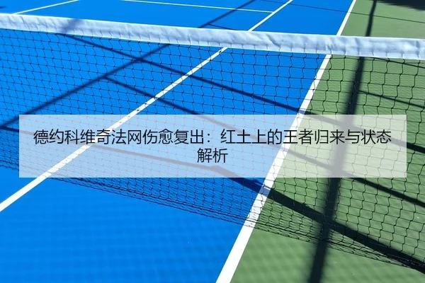 德约科维奇法网伤愈复出：红土上的王者归来与状态解析