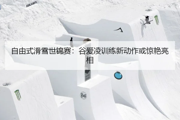 zi-you-shi-hua-xue-shi-jin-sai-gu-ai-ling-xun-lian-xin-dong-zuo-huo-jing-yan-liang-xiang-2-981.jpg