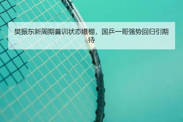 樊振东新周期首训状态爆棚，国乒一哥强势回归引期待