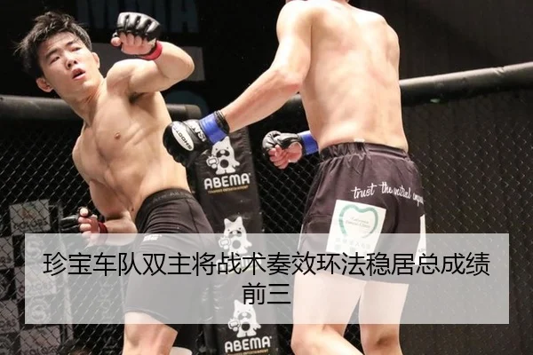珍宝车队双主将战术奏效环法稳居总成绩前三