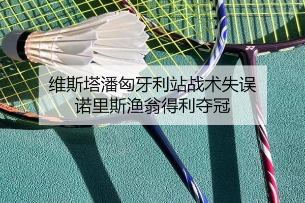 维斯塔潘匈牙利站战术失误 诺里斯渔翁得利夺冠
