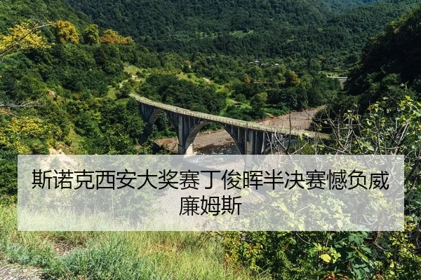 si-nuo-ke-xi-an-da-jiang-sai-ding-jun-hui-ban-jue-sai-han-fu-wei-lian-mu-si-2-214.jpg