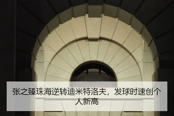 张之臻珠海逆转迪米特洛夫，发球时速创个人新高